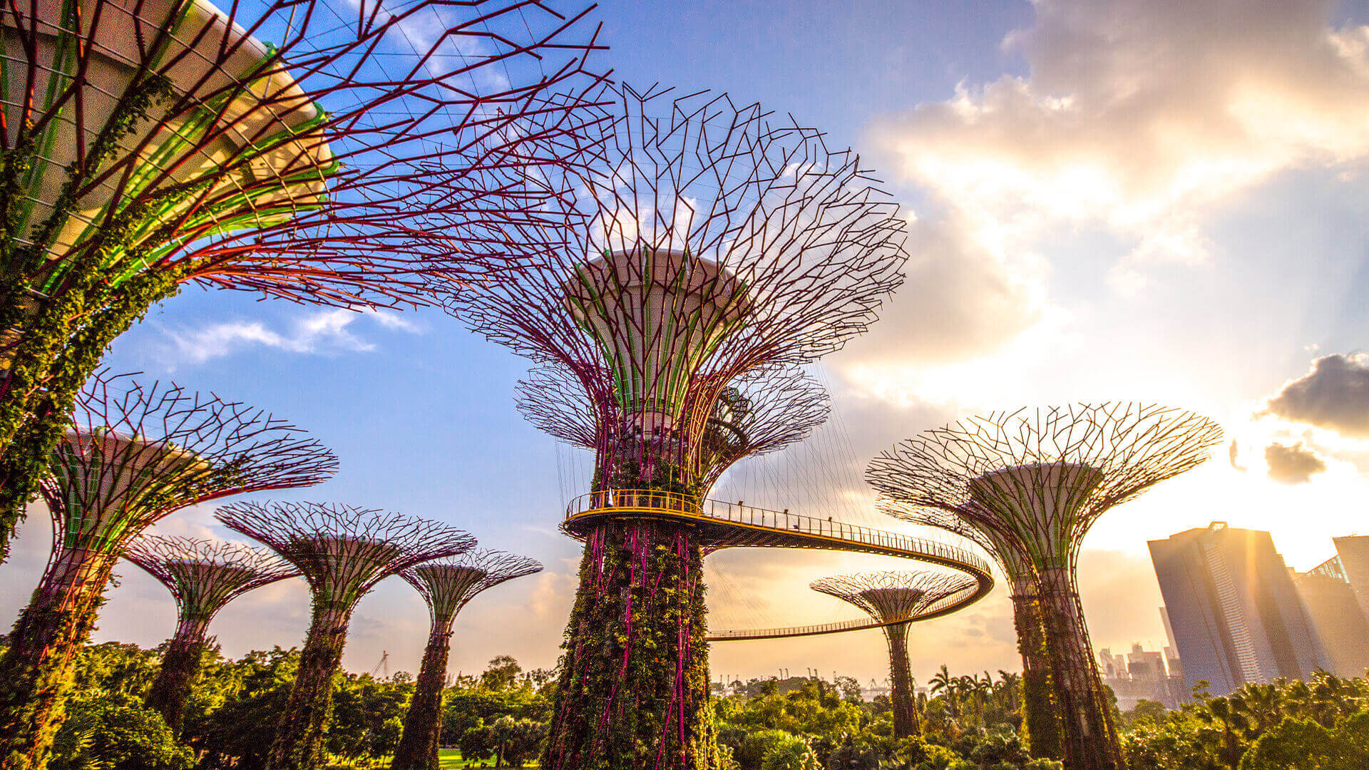 Gardens by the bay